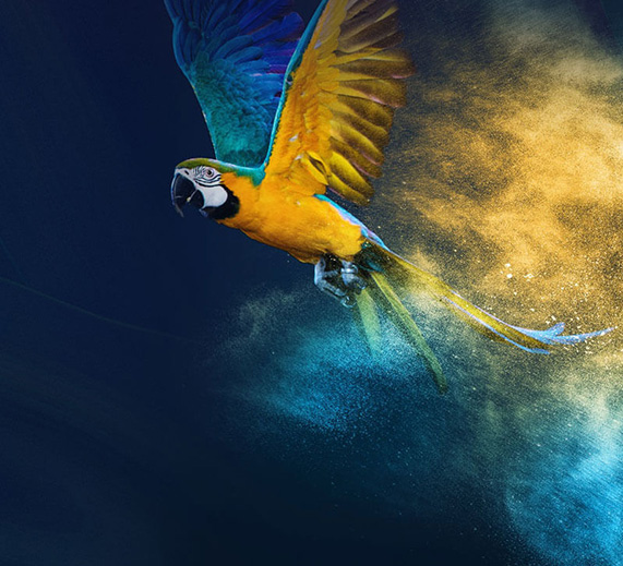 涂料厂家官网建设